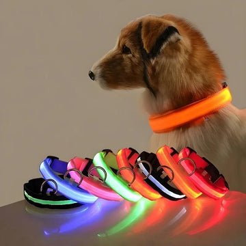 Nylon LED noite segurança piscando colar para cães de estimação